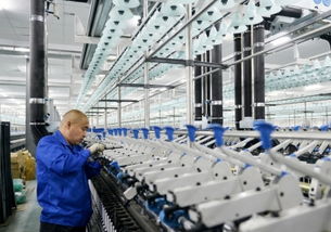 许昌 四个一百 为民企 加油